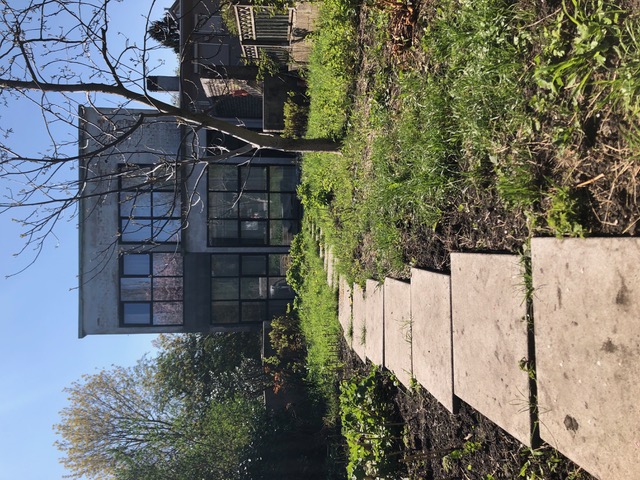 Artist Statement  - Nathalie De Corte